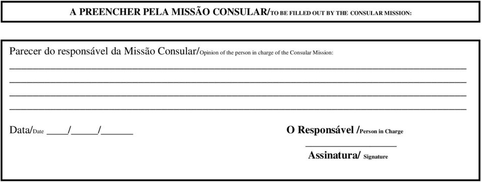 Consular/Opinion of the person in charge of the Consular