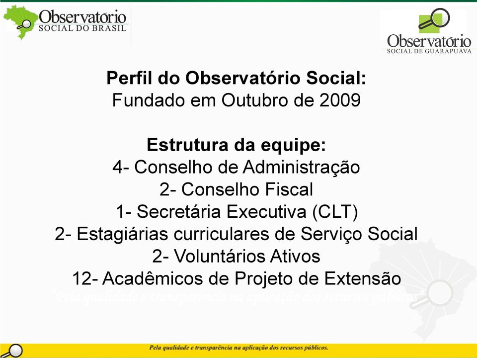 Estagiárias curriculares de Serviço Social 2- Voluntários Ativos 12- Acadêmicos