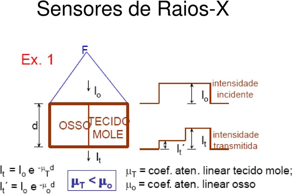 Raios-X