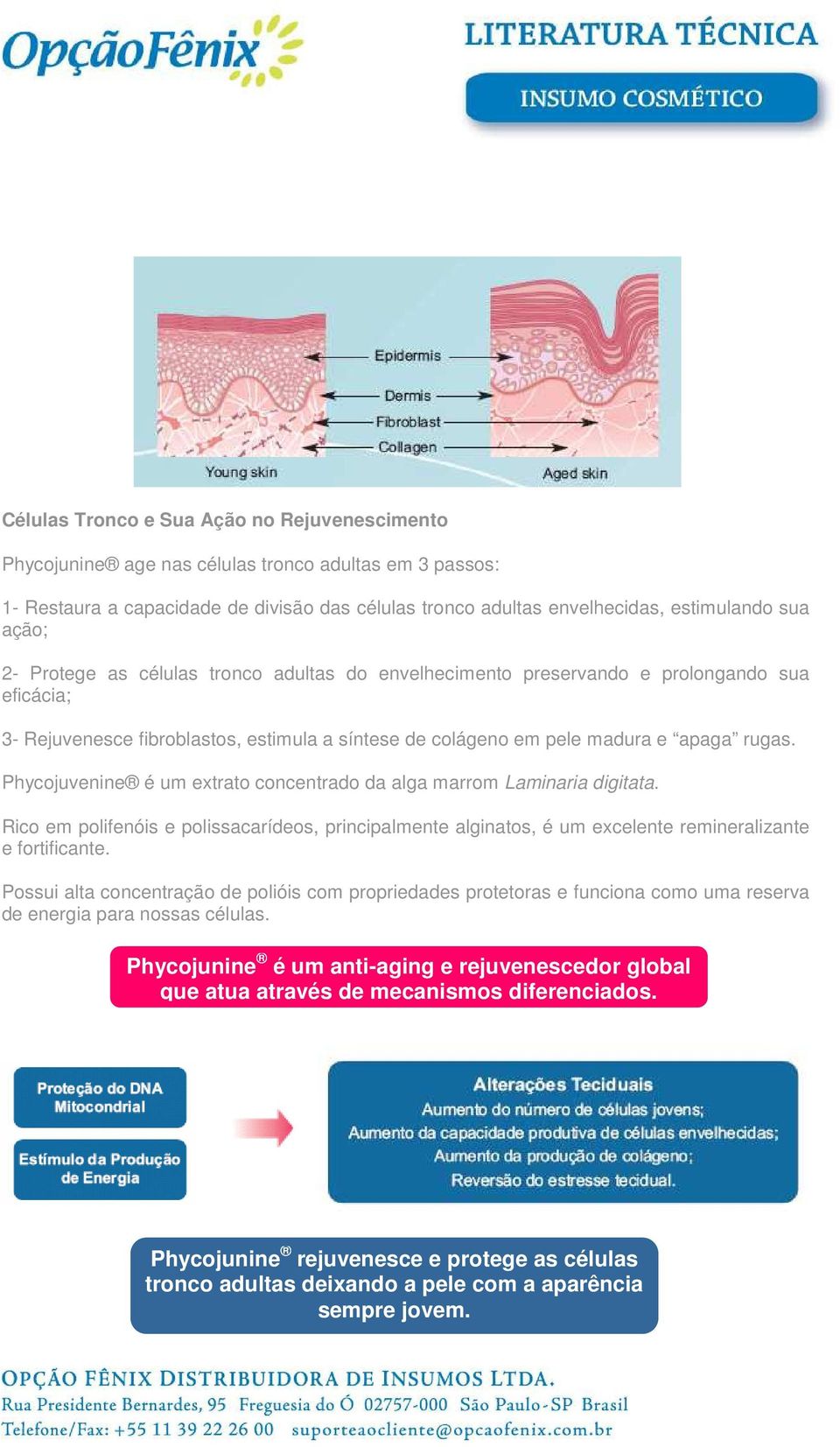 Phycojuvenine é um extrato concentrado da alga marrom Laminaria digitata. Rico em polifenóis e polissacarídeos, principalmente alginatos, é um excelente remineralizante e fortificante.