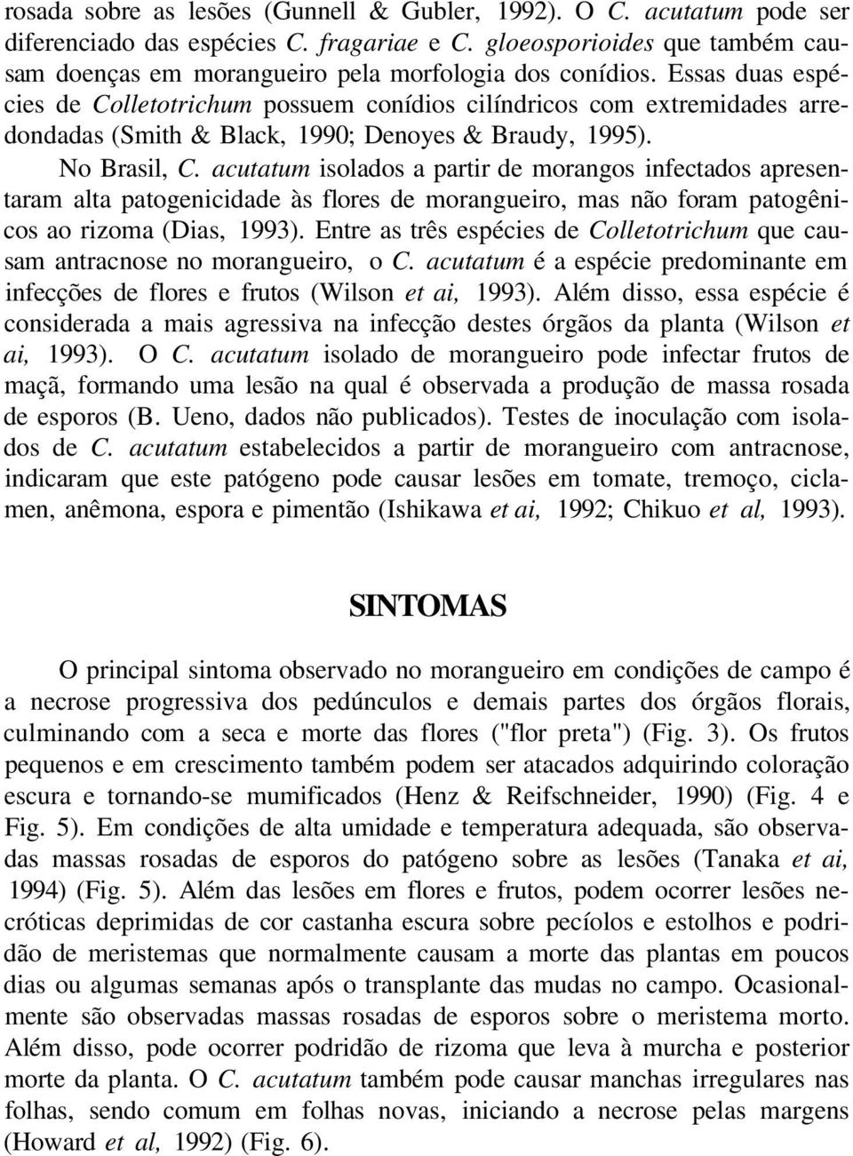 Essas duas espécies de Colletotrichum possuem conídios cilíndricos com extremidades arredondadas (Smith & Black, 1990; Denoyes & Braudy, 1995). No Brasil, C.