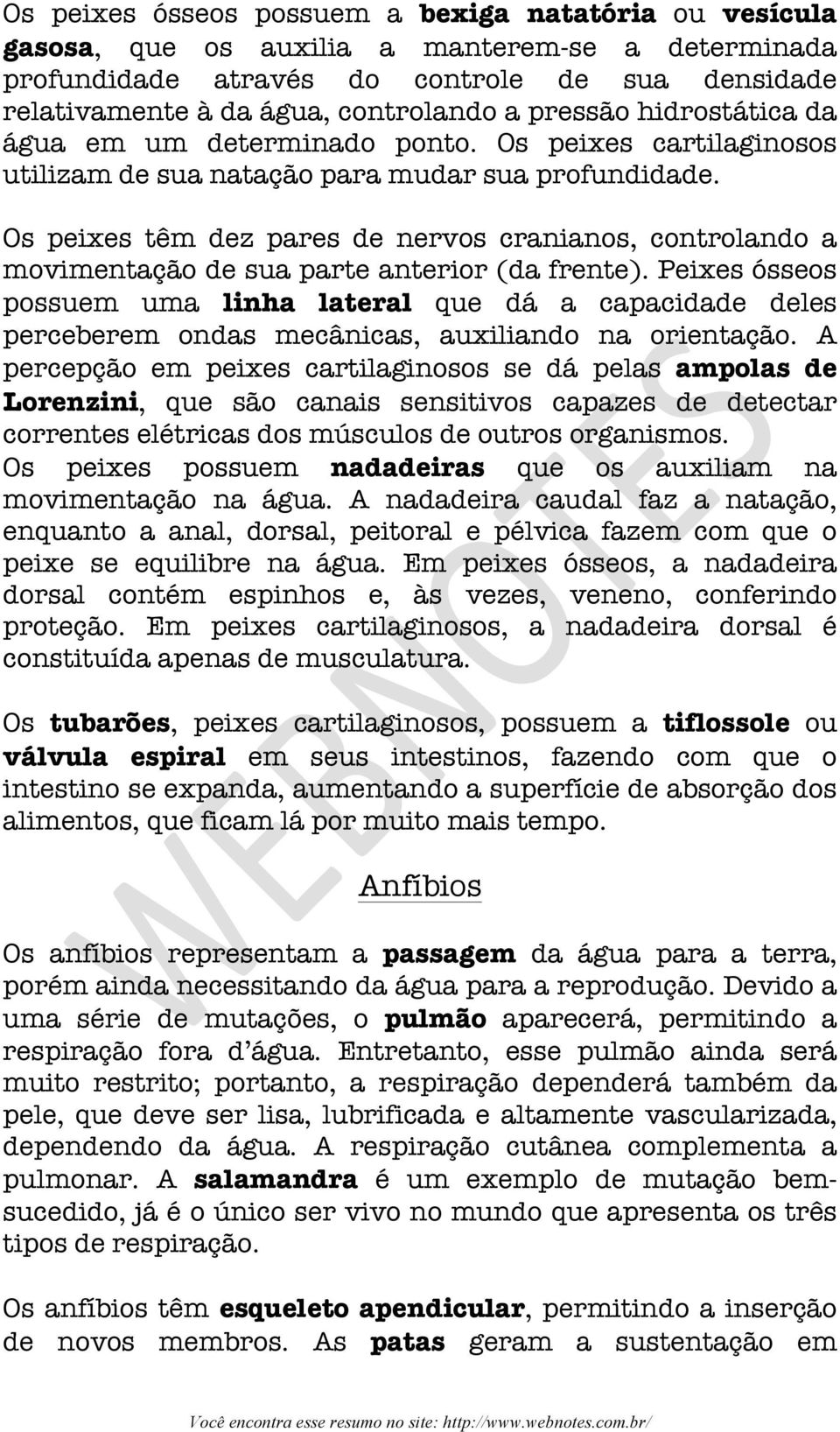 Os peixes têm dez pares de nervos cranianos, controlando a movimentação de sua parte anterior (da frente).