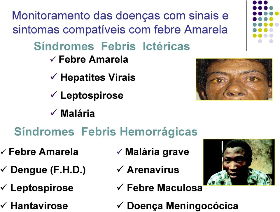 Leptospirose Malária Síndromes Febris Hemorrágicas Febre Amarela Dengue (F.