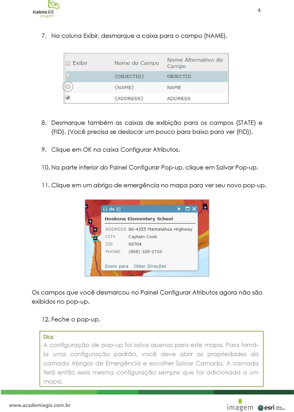 Clique em um abrigo de emergência no mapa para ver seu novo pop-up. Os campos que você desmarcou no Painel Configurar Atributos agora não são exibidos no pop-up. 12. Feche o pop-up.