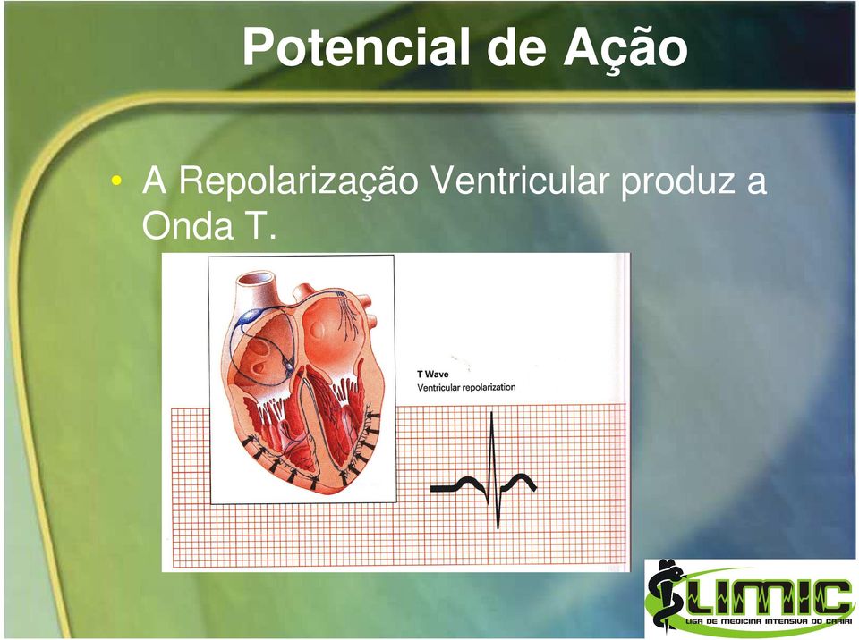 Repolarização