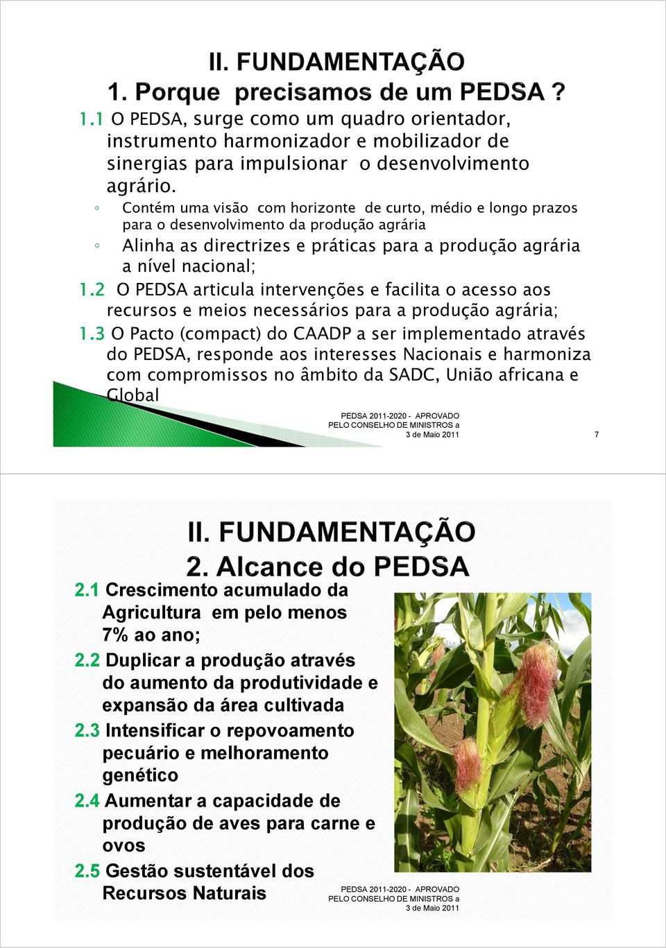 2 O PEDSA articula intervenções e facilita o acesso aos recursos e meios necessários para a produção agrária; 1.