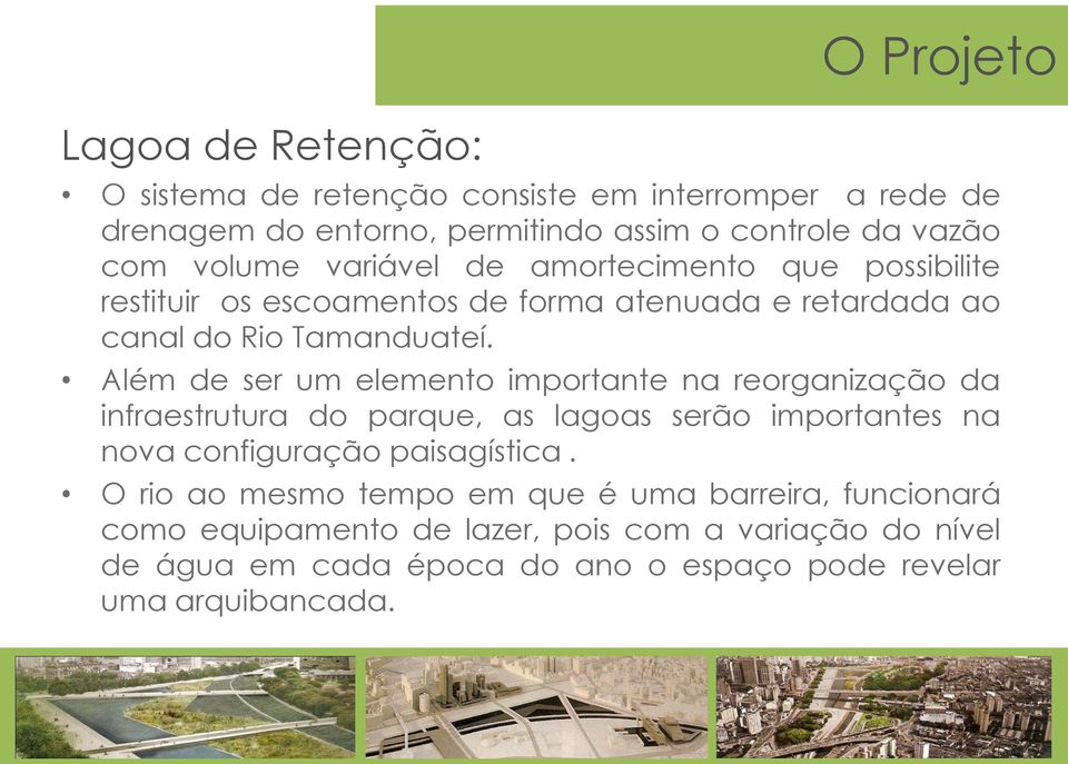 Além de ser um elemento importante na reorganização da infraestrutura do parque, as lagoas serão importantes na nova configuração paisagística.