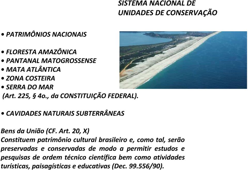 20, X) Constituem patrimônio cultural brasileiro e, como tal, serão preservadas e conservadas de modo a