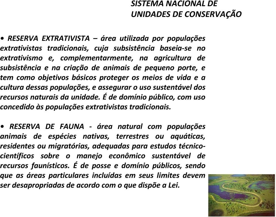 Éde domínio público, com uso concedido às populações extrativistas tradicionais.