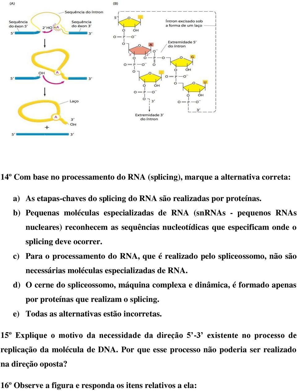 c) Para o processamento do RNA, que é realizado pelo spliceossomo, não são necessárias moléculas especializadas de RNA.