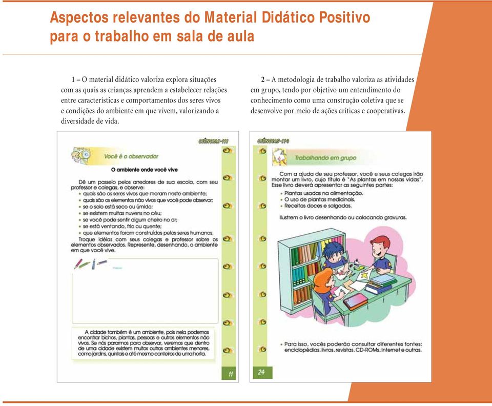 condições do ambiente em que vivem, valorizando a diversidade de vida.