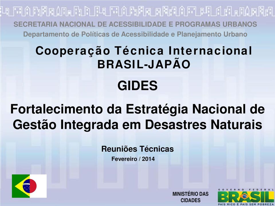 Internacional BRASIL-JAPÃO GIDES Fortalecimento da Estratégia Nacional