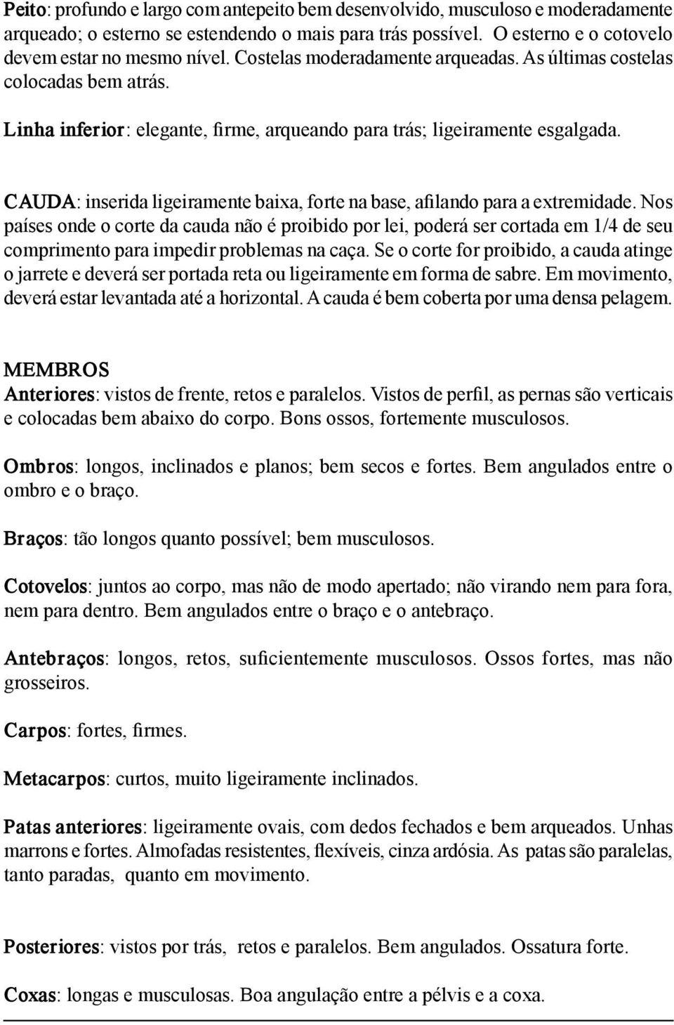 CAUDA: inserida ligeiramente baixa, forte na base, afilando para a extremidade.