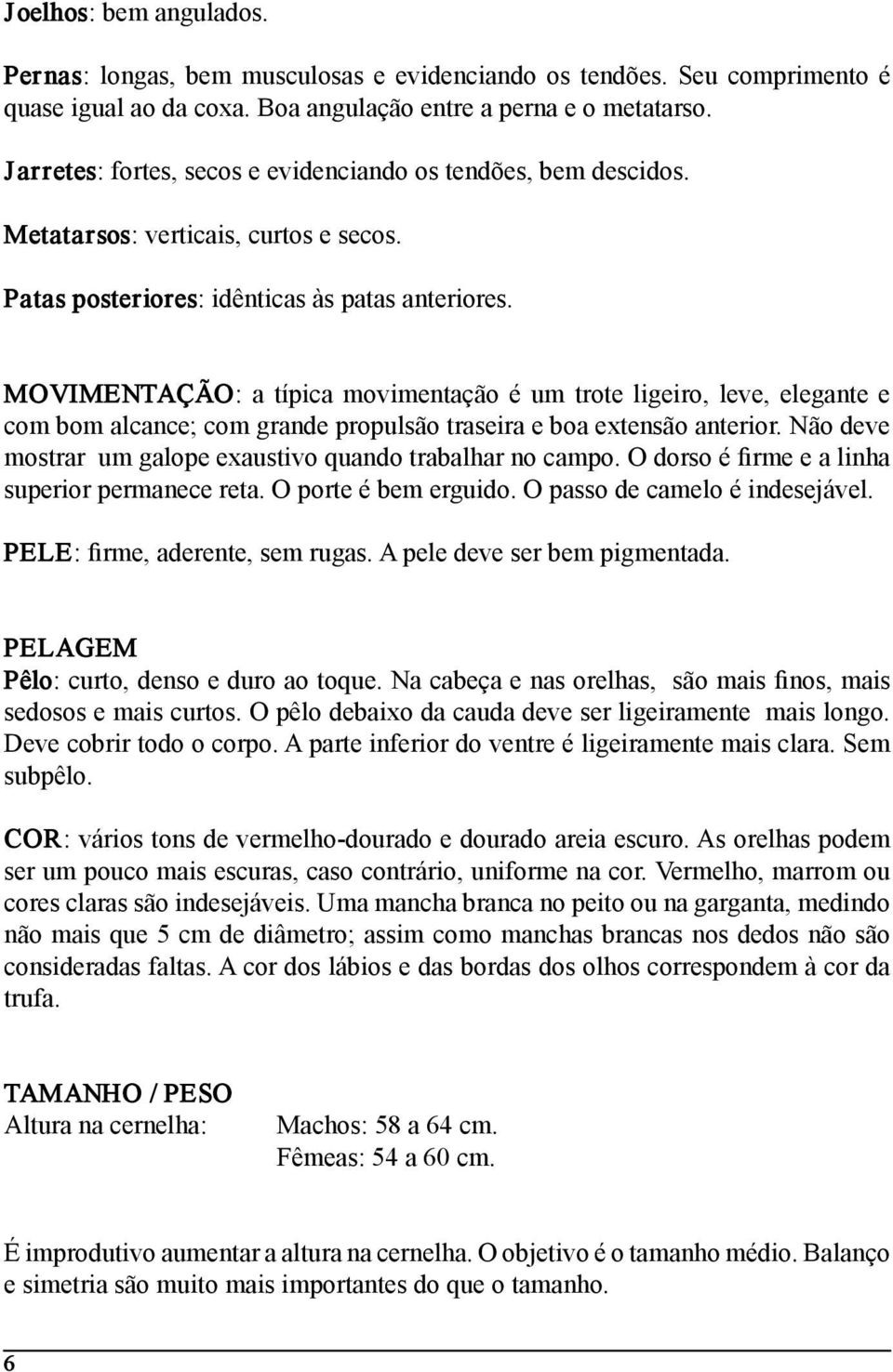 MOVIMENTAÇÃO: a típica movimentação é um trote ligeiro, leve, elegante e com bom alcance; com grande propulsão traseira e boa extensão anterior.