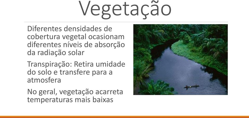 Transpiração: Retira umidade do solo e transfere para a