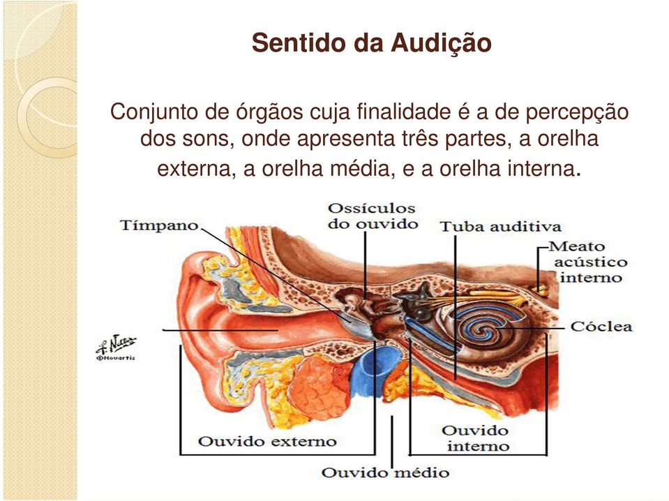 sons, onde apresenta três partes, a