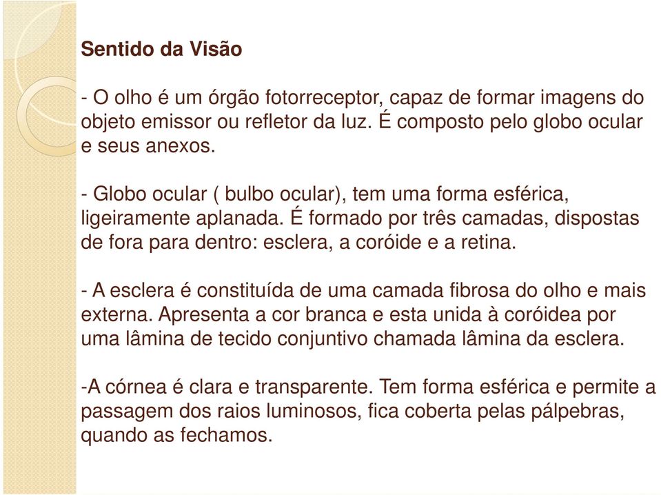 É formado por três camadas, dispostas de fora para dentro: esclera, a coróide e a retina. - A esclera é constituída de uma camada fibrosa do olho e mais externa.