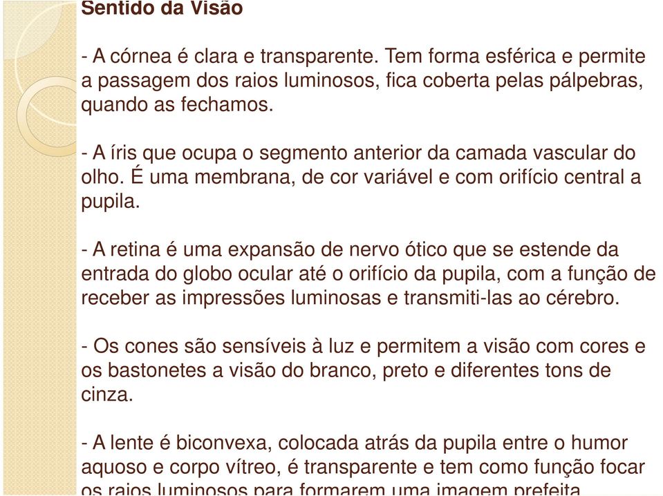 - A retina é uma expansão de nervo ótico que se estende da entrada do globo ocular até o orifício da pupila, com a função de receber as impressões luminosas e transmiti-las ao cérebro.