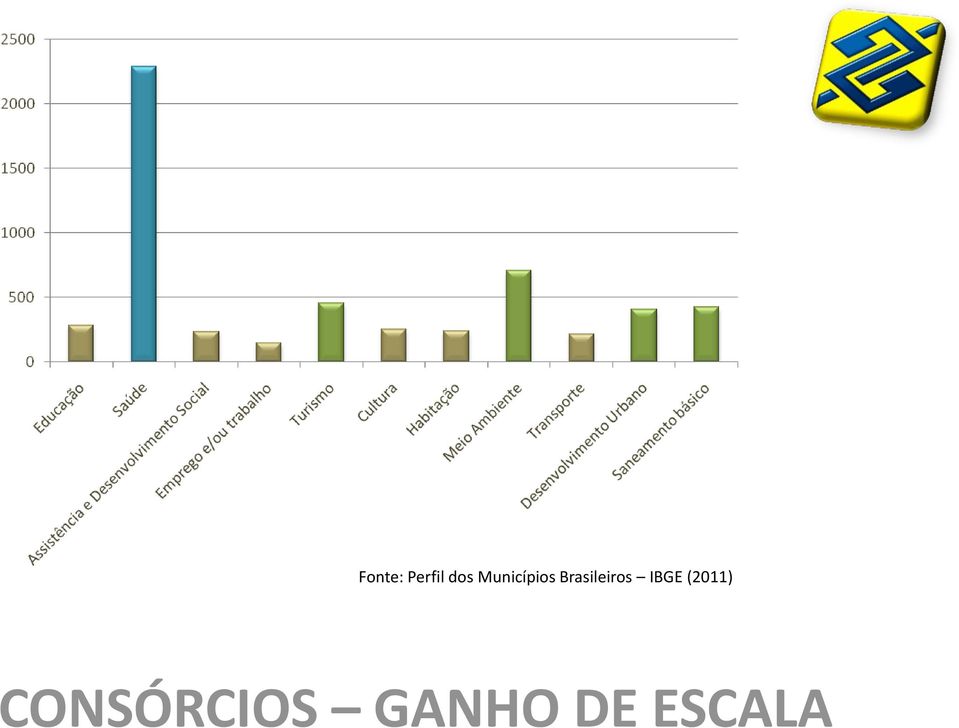 Brasileiros IBGE