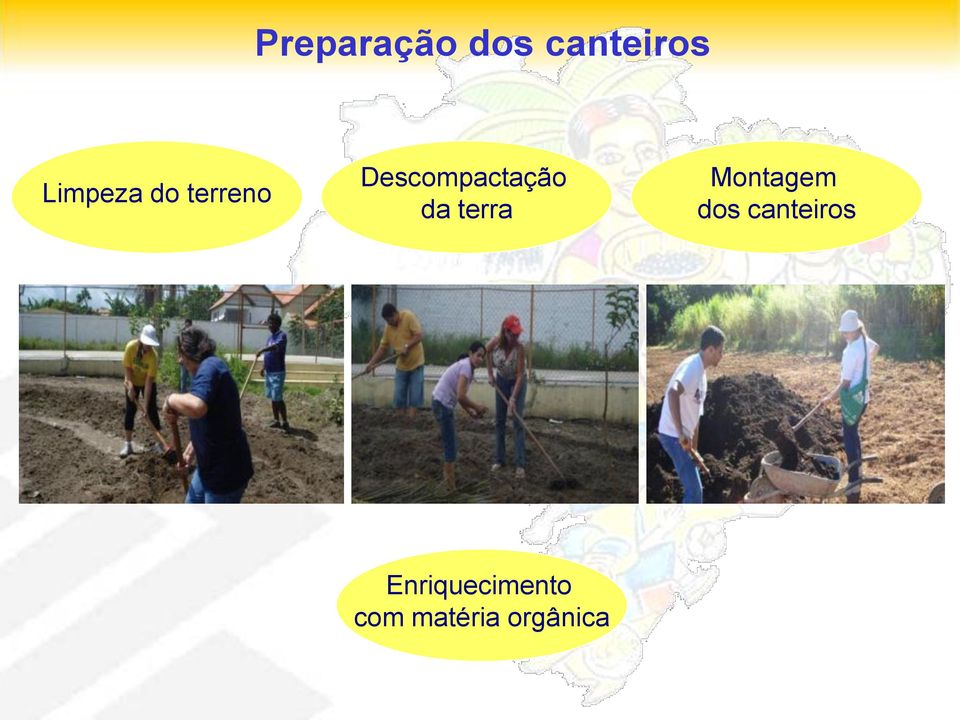 Descompactação da terra