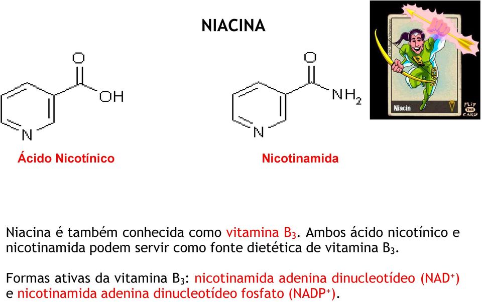 Ambos ácido nicotínico e nicotinamida podem servir como fonte dietética de 