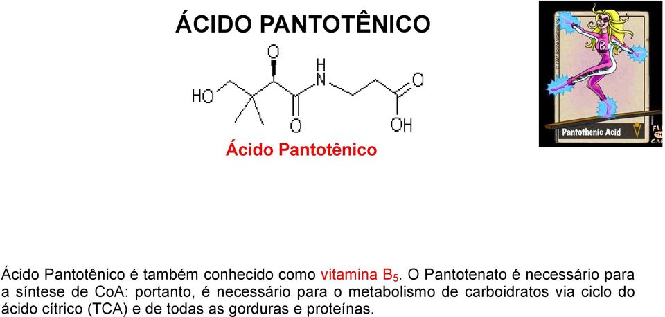 O Pantotenato é necessário para a síntese de CoA: portanto, é