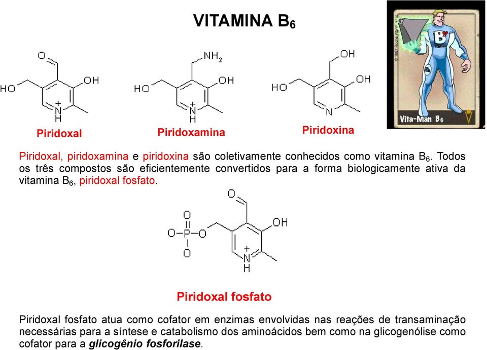 Todos os três compostos são eficientemente convertidos para a forma biologicamente ativa da vitamina B 6, piridoxal