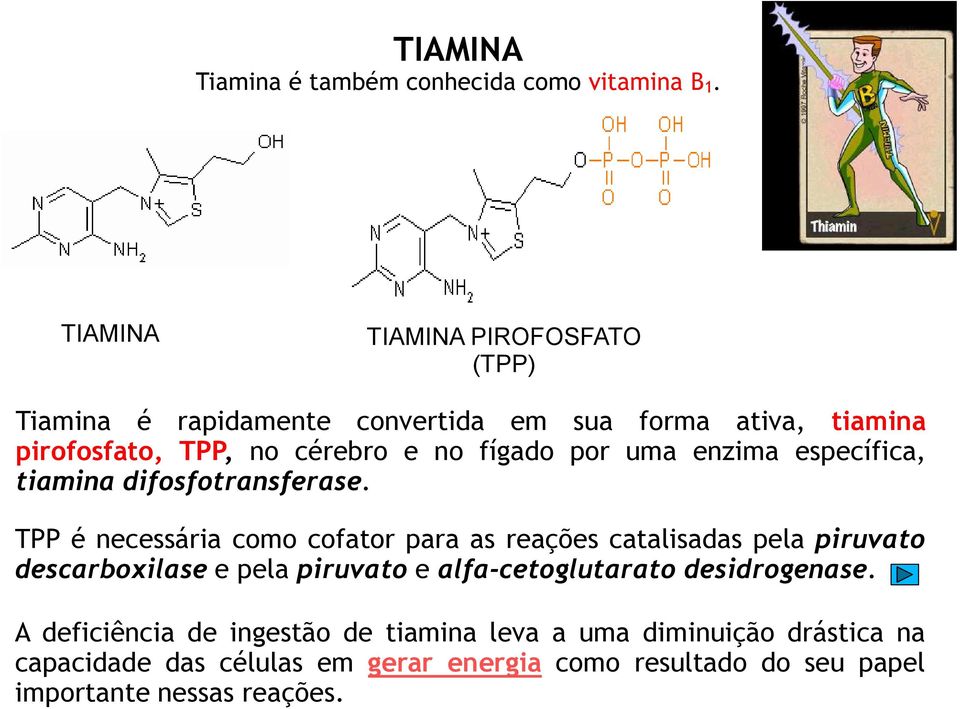 por uma enzima específica, tiamina difosfotransferase.