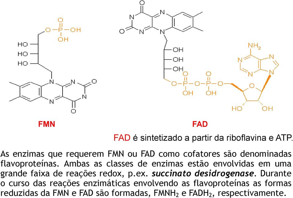 Ambas as classes de enzimas estão envolvidas em uma grande faixa de reações redox, p.ex.