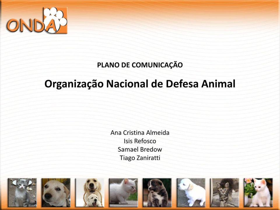 Animal Ana Cristina Almeida