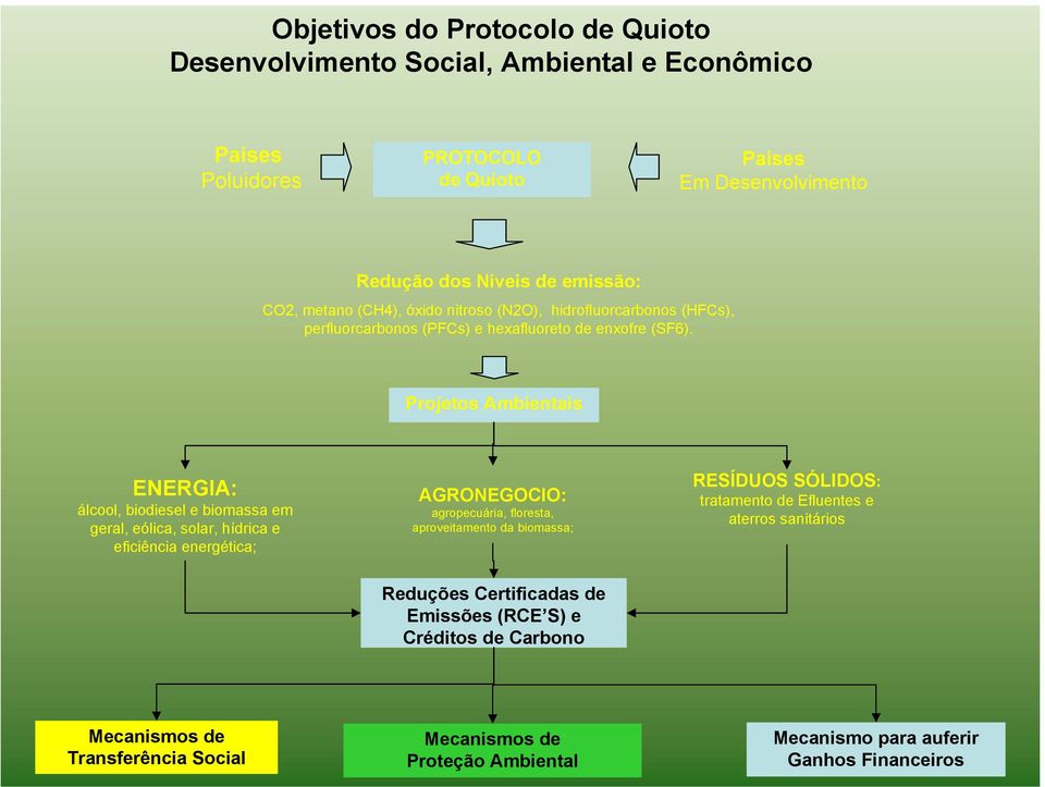 Projetos Ambientais ENERGIA: álcool, biodiesel e biomassa em geral, eólica, solar, hídrica e eficiência energética; AGRONEGOCIO: agropecuária, floresta, aproveitamento da