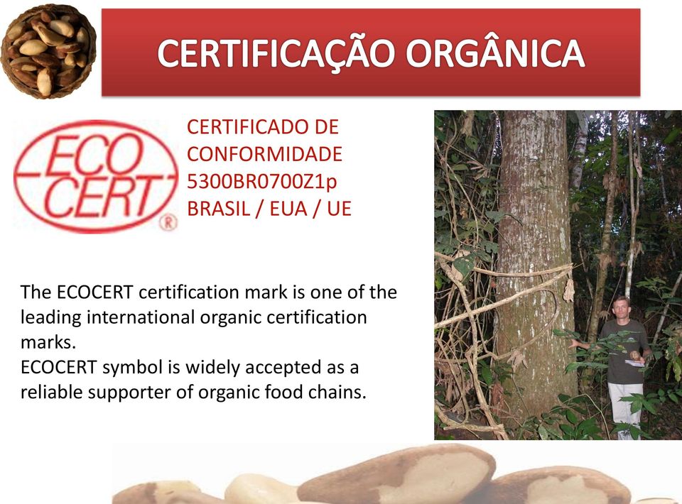 international organic certification marks.