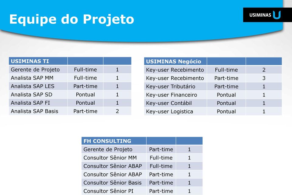 Part-time 1 Key-user Financeiro Pontual 1 Key-user Contábil Pontual 1 Key-user Logistica Pontual 1 FH CONSULTING Gerente de Projeto Part-time 1 Consultor