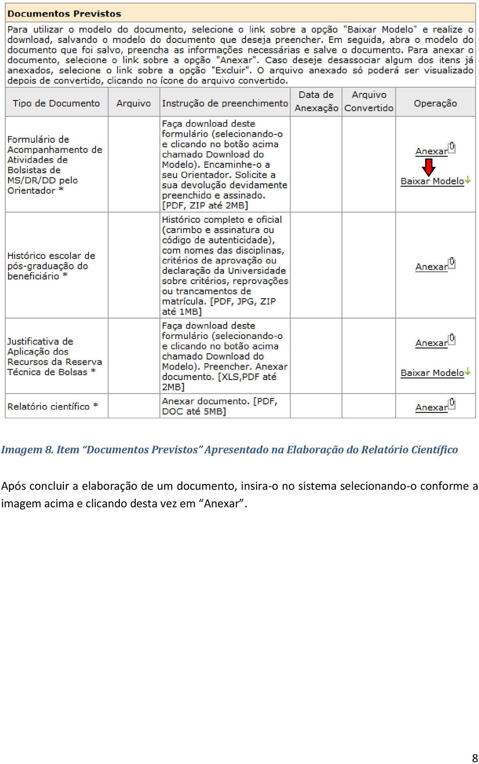 Relatório Científico Após concluir a elaboração de um