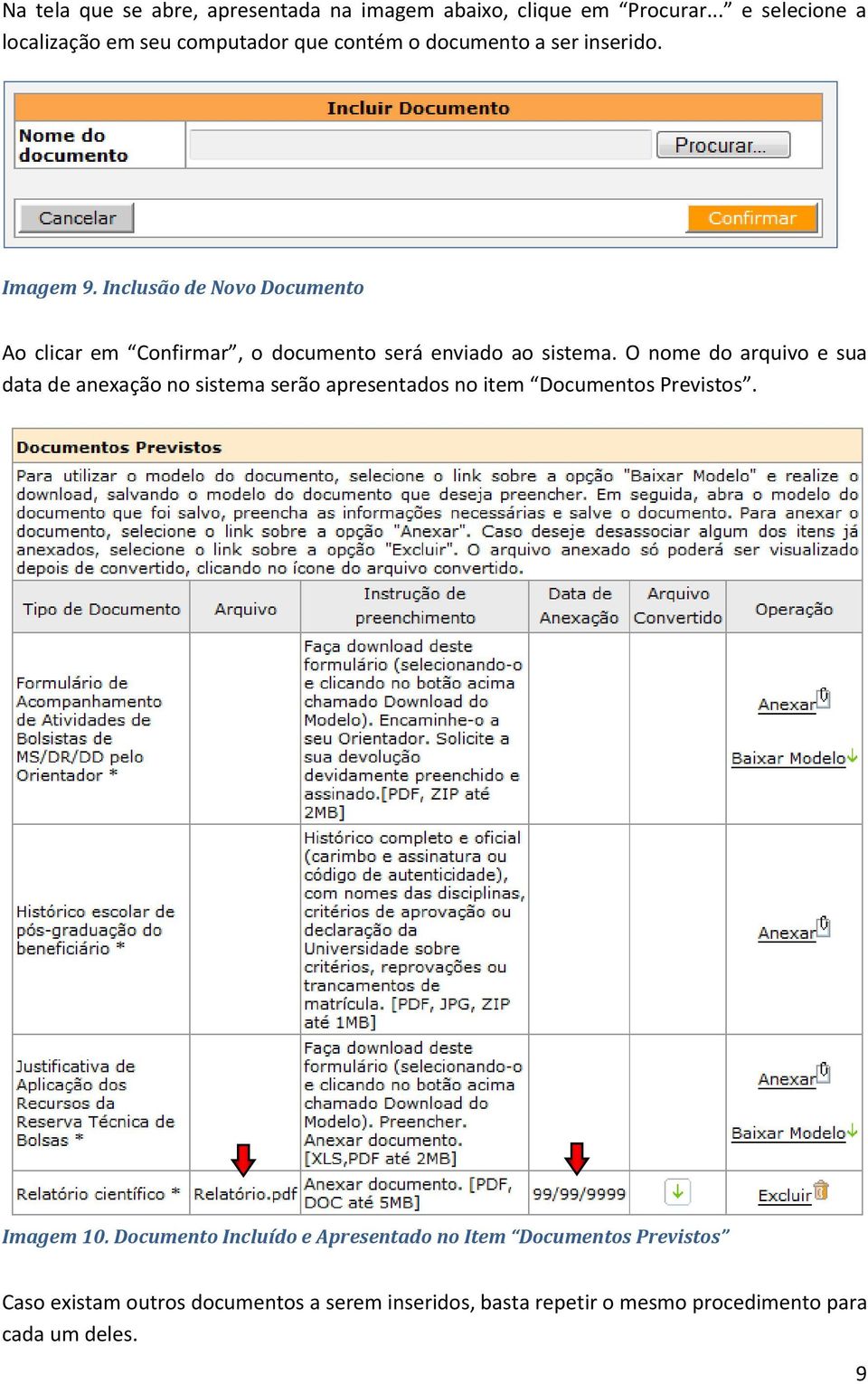 Inclusão de Novo Documento Ao clicar em Confirmar, o documento será enviado ao sistema.