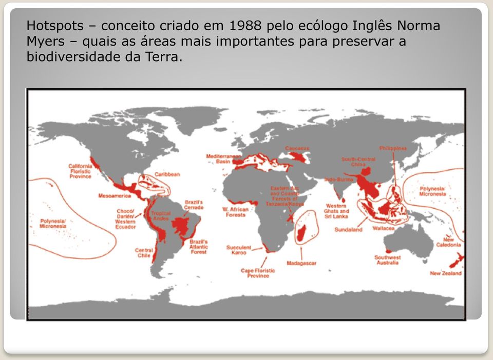 quais as áreas mais importantes