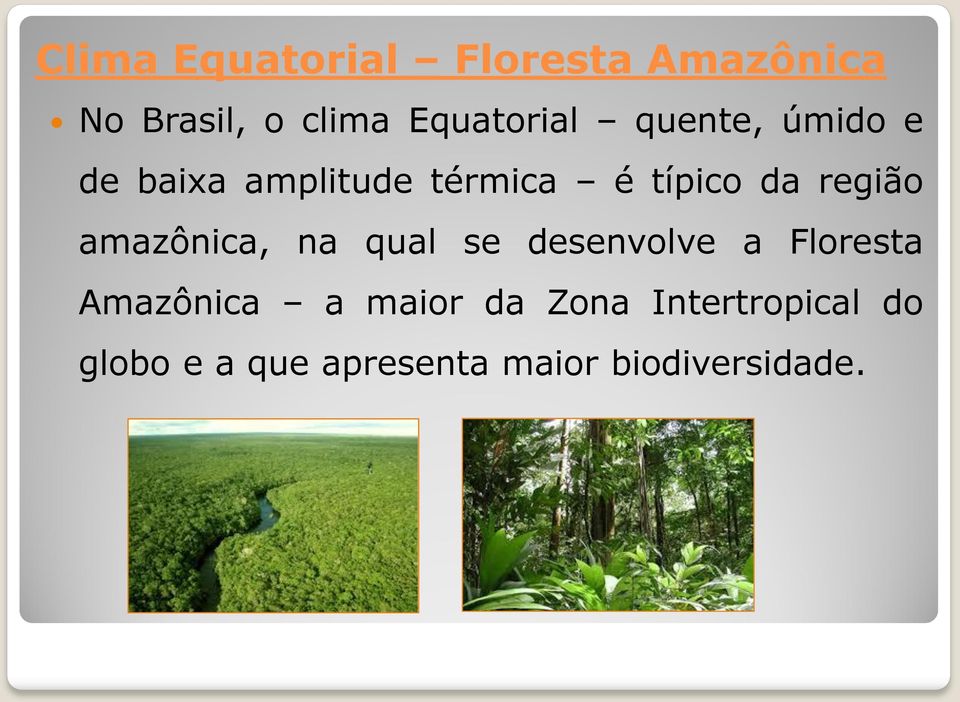da região amazônica, na qual se desenvolve a Floresta Amazônica