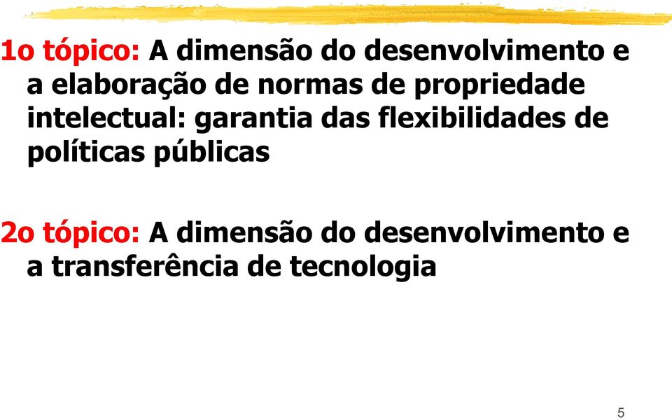 garantia das flexibilidades de políticas públicas 2o