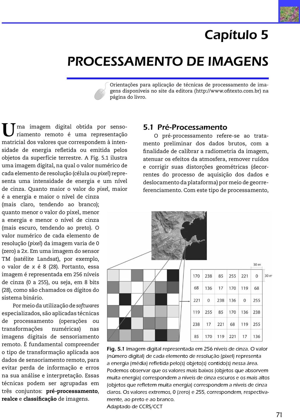 A Fig. 5.1 ilustra uma imagem digital, na qual o valor numérico de cada elemento de resolução (célula ou pixel) representa uma intensidade de energia e um nível de cinza.