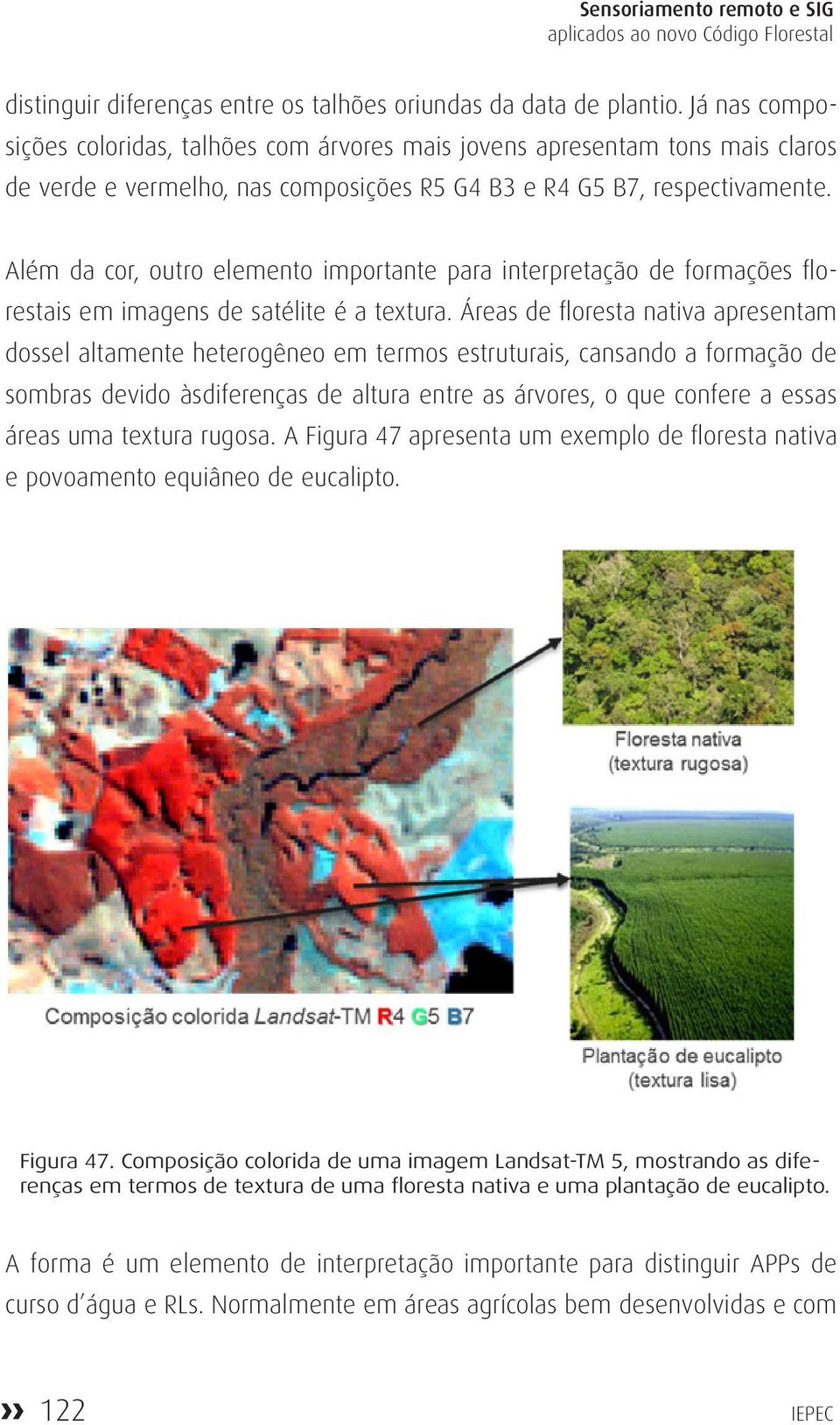 Além da cor, outro elemento importante para interpretação de formações florestais em imagens de satélite é a textura.