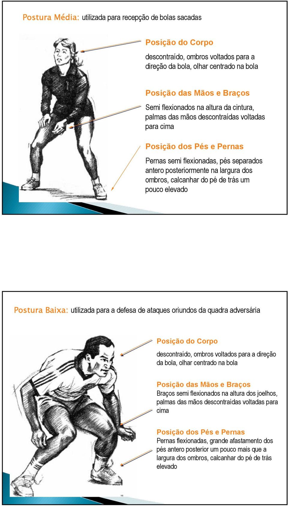 trás um pouco elevado Postura Baixa: utilizada para a defesa de ataques oriundos da quadra adversária Posição do Corpo descontraído, ombros voltados para a direção da bola, olhar centrado na bola