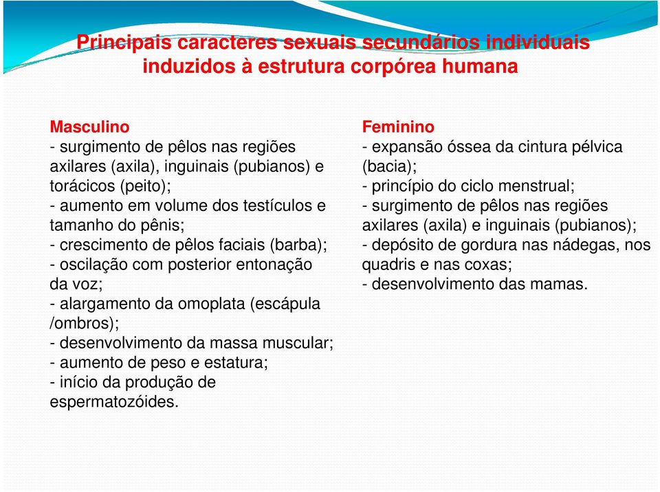 (escápula /ombros); - desenvolvimento da massa muscular; - aumento de peso e estatura; - início da produção de espermatozóides.