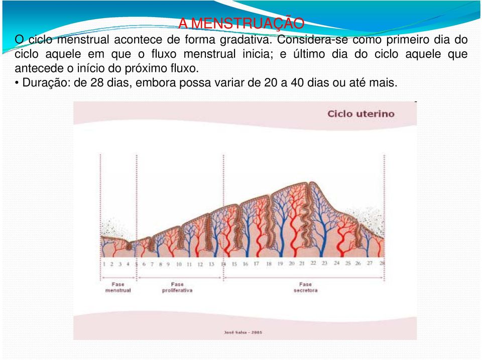 menstrual inicia; e último dia do ciclo aquele que antecede o início