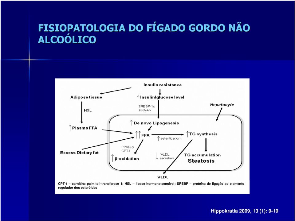 hormona-sensível; SREBP proteína de ligação ao