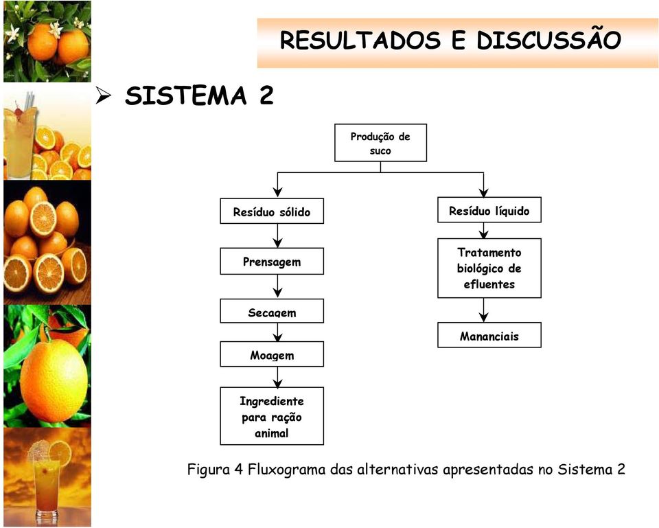 efluentes Secagem Moagem Mananciais Ingrediente para ração