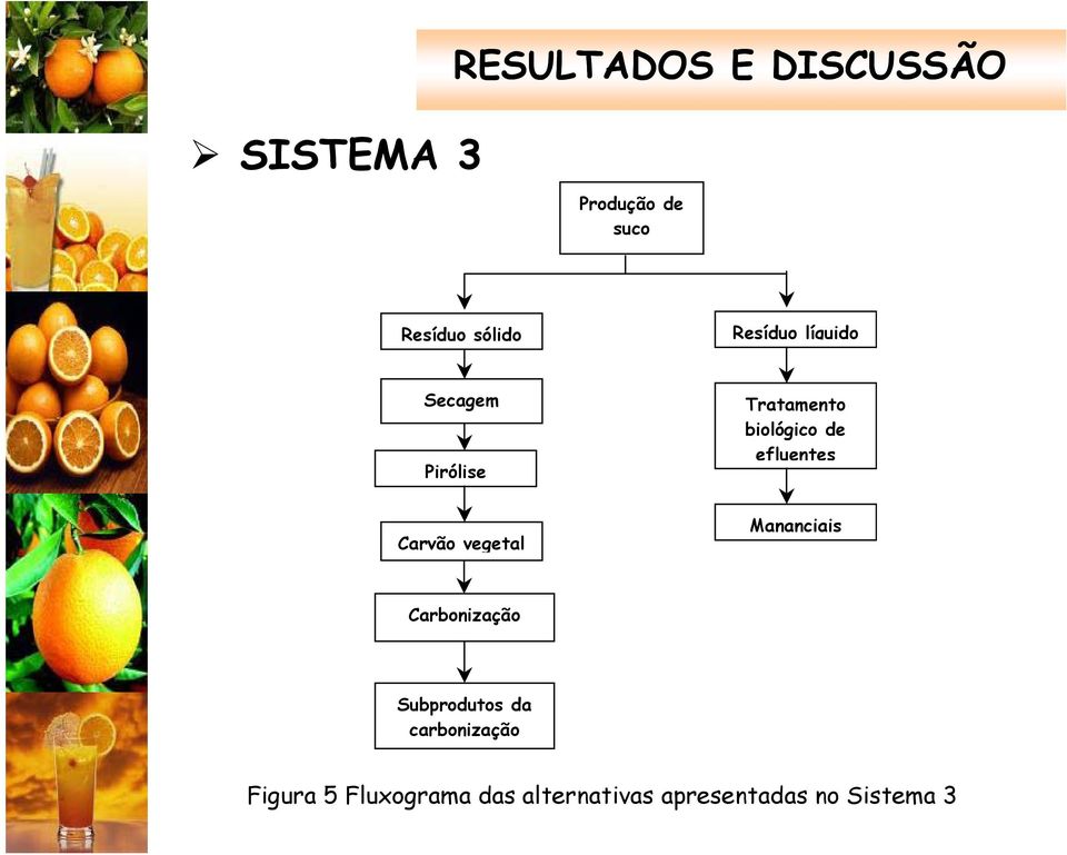 efluentes Carvão vegetal Mananciais Carbonização Subprodutos da