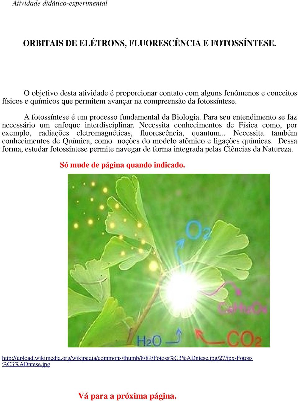 A fotossíntese é um processo fundamental da Biologia. Para seu entendimento se faz necessário um enfoque interdisciplinar.