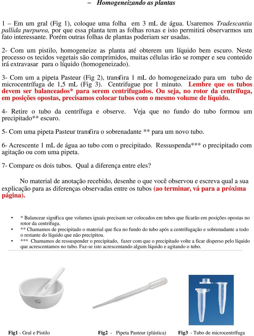 2- Com um pistilo, homogeneize as planta até obterem um líquido bem escuro.