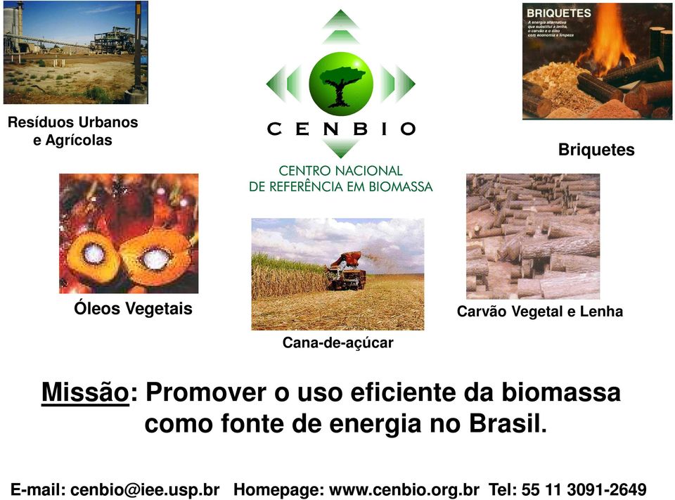 eficiente da biomassa como fonte de energia no Brasil.