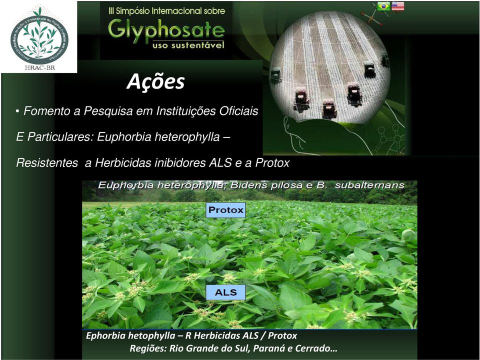 Herbicidas inibidores e a Protox Ephorbia hetophylla R